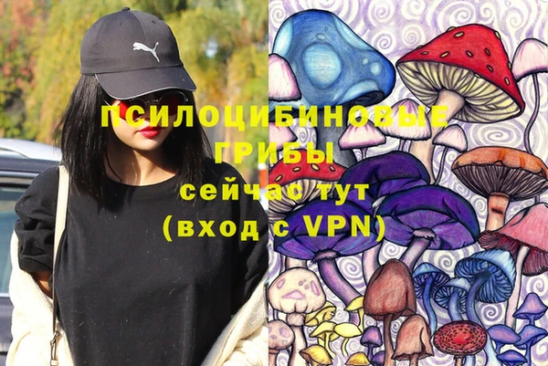 а пвп мука Медногорск