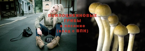 спайс Мегион