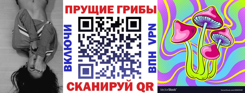 Купить закладки  Мичуринск  Псилоцибиновые грибы мицелий 